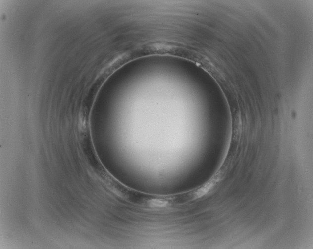 X0000081440176200701261857