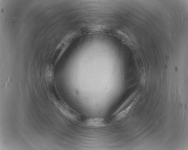 X0000081440179200701261857