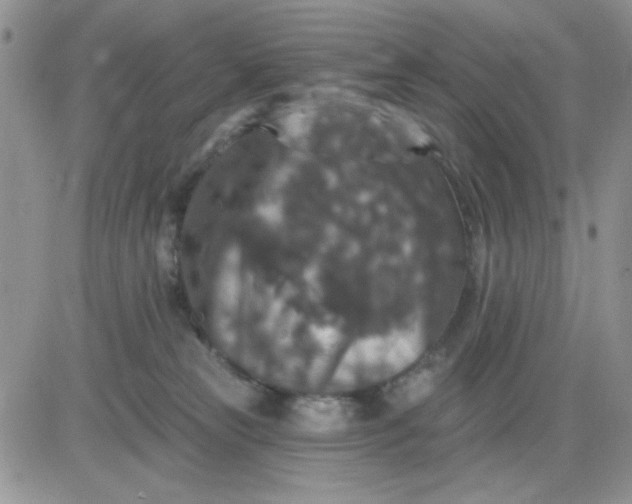 X0000081440181200701261857