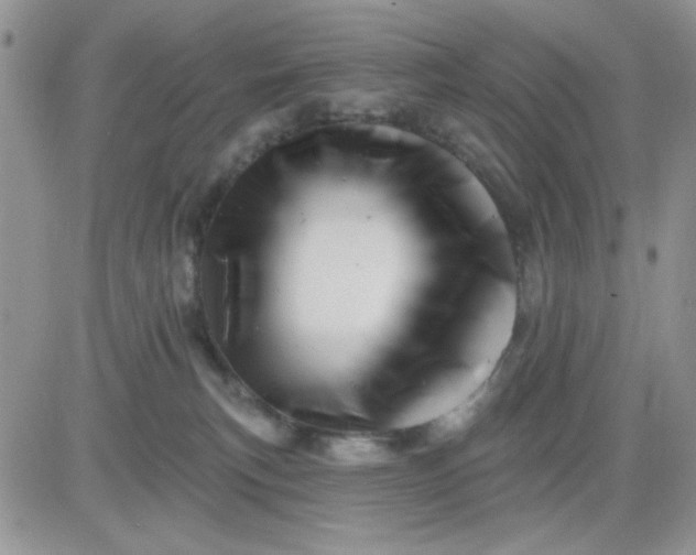 X0000081440183200701261857