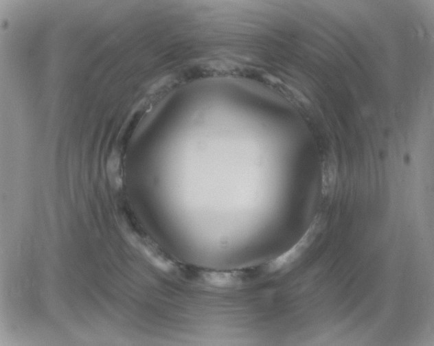 X0000081440187200701261857
