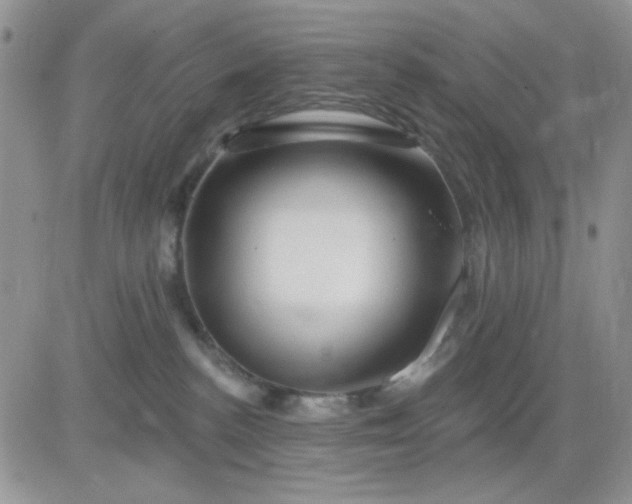 X0000081440188200701261857