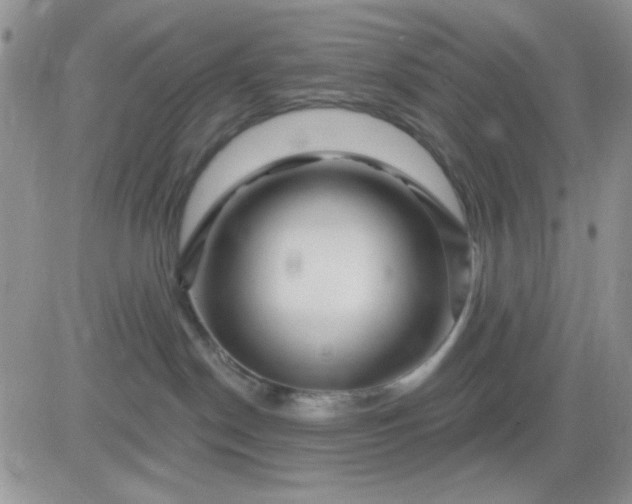 X0000081440190200701261857