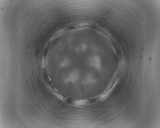 X0000081440191200701261857