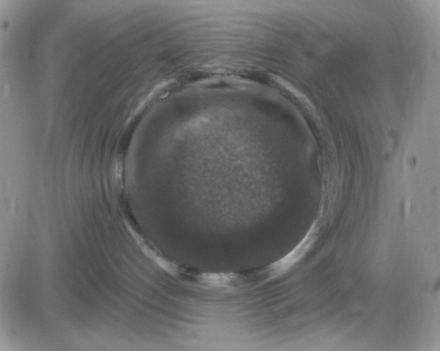 X0000081440192200701261857