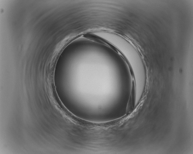 X0000081440193200701261856