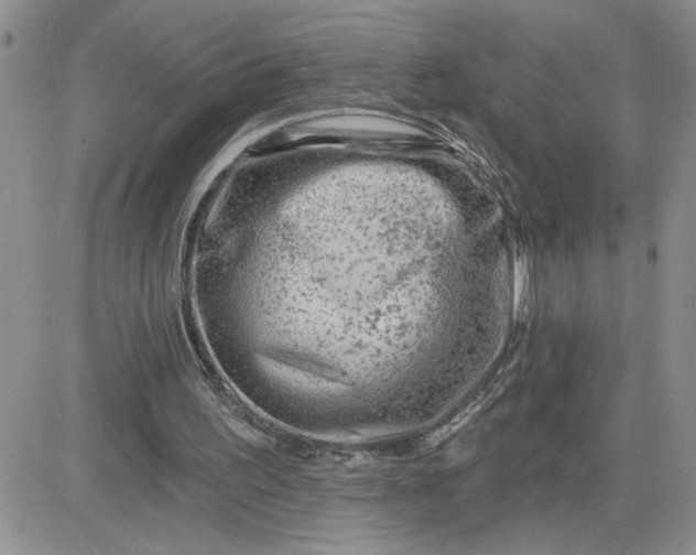 X0000081440195200701261856