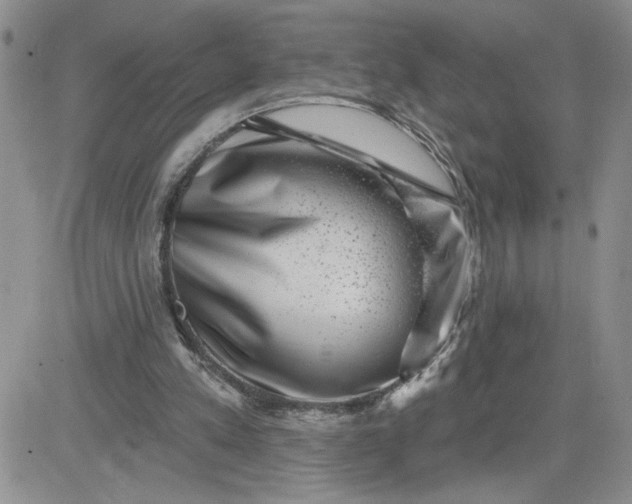 X0000081440197200701261856