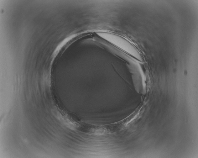 X0000081440200200701261856