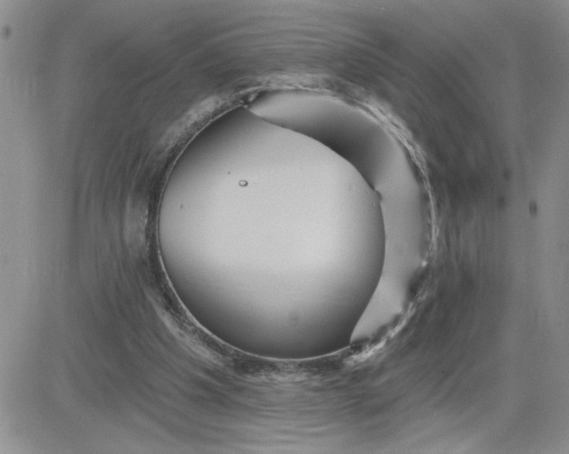 X0000081440201200701261856