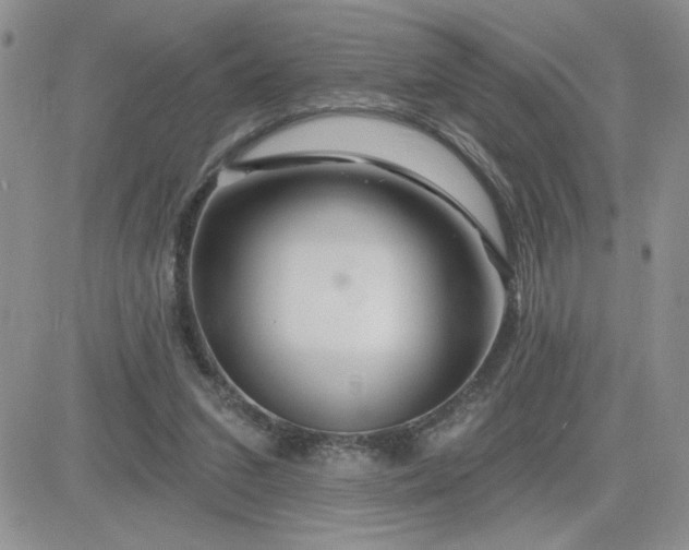 X0000081440207200701261856