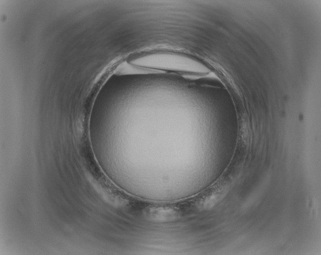 X0000081440208200701261856