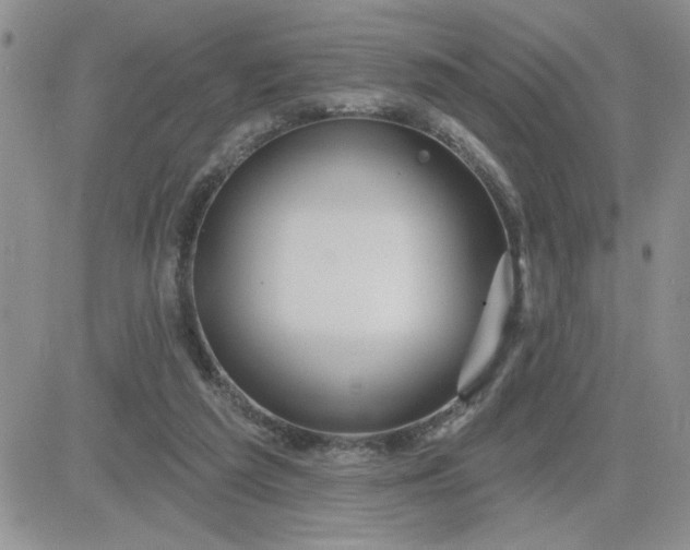X0000081440209200701261856