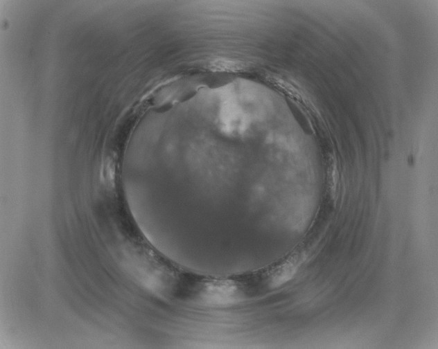 X0000081440214200701261856