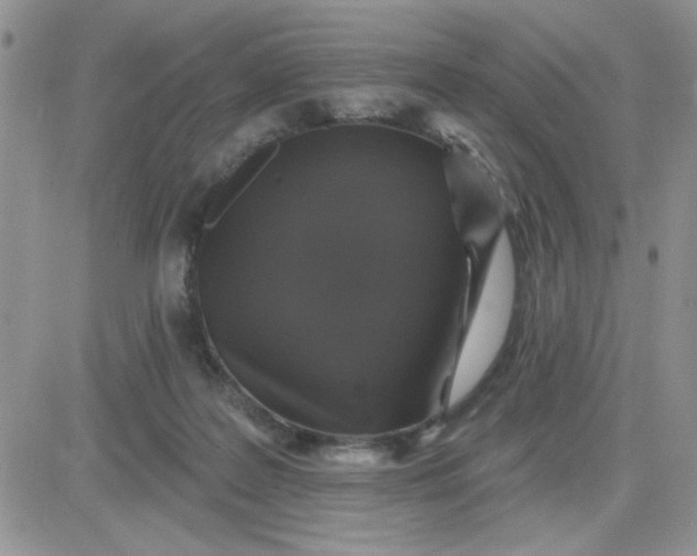 X0000081440219200701261856
