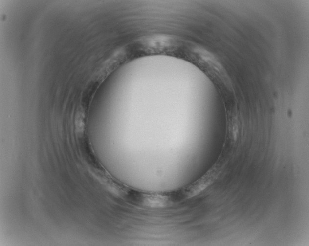 X0000081440226200701261855
