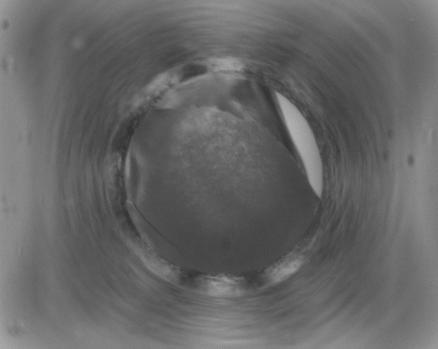 X0000081440229200701261855