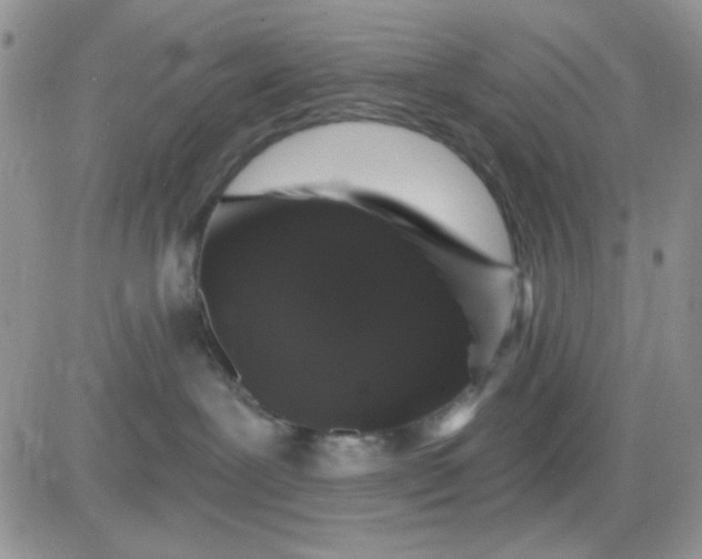 X0000081440239200701261855