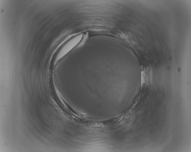 X0000081440243200701261855