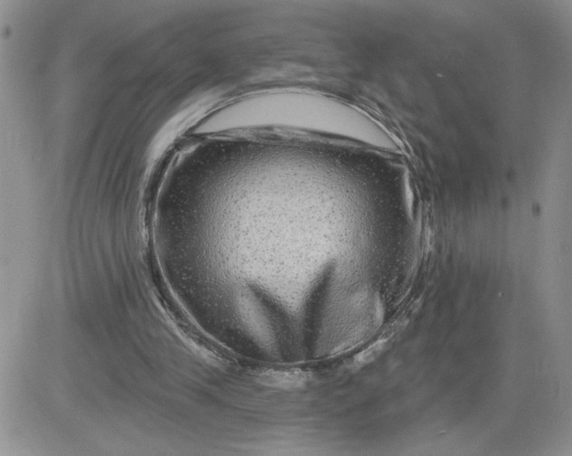 X0000081440245200701261855