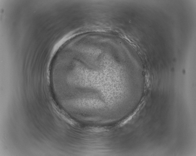 X0000081440246200701261855