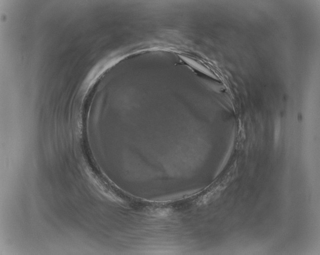 X0000081440247200701261855
