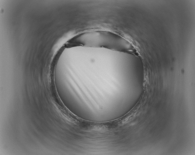 X0000081440248200701261855