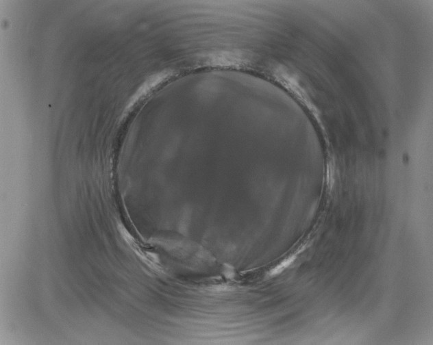X0000081440249200701261855