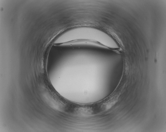 X0000081440251200701261855