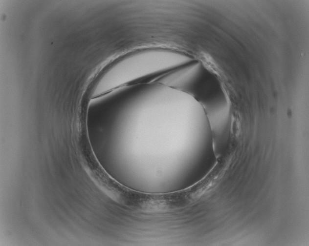 X0000081440252200701261855