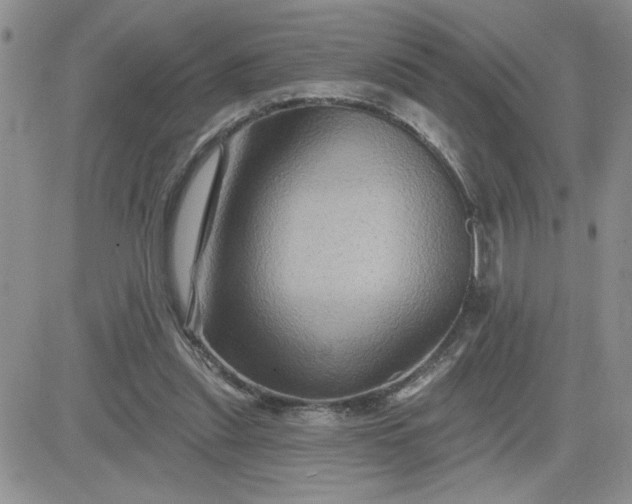 X0000081440253200701261855