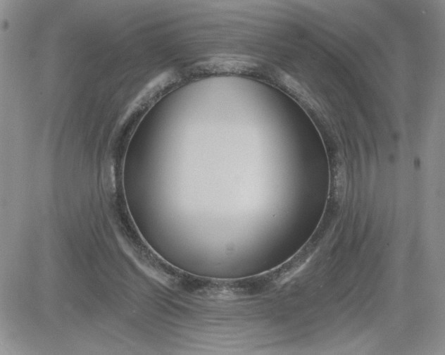 X0000081440254200701261855