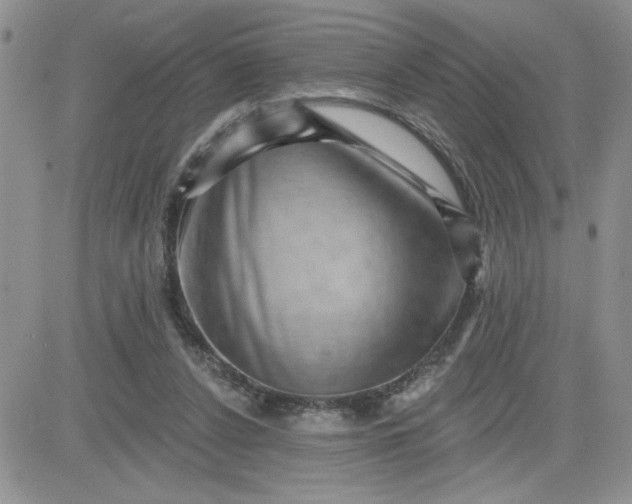 X0000081440256200701261855