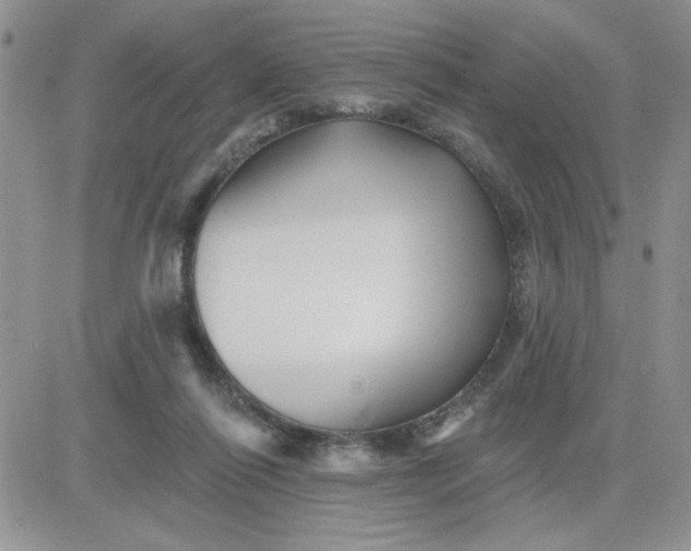 X0000081440262200701261855