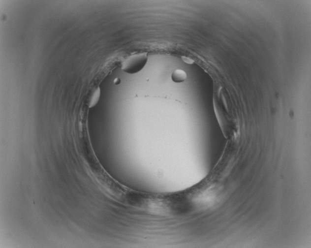 X0000081440264200701261855