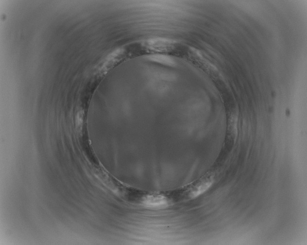 X0000081440271200701261855