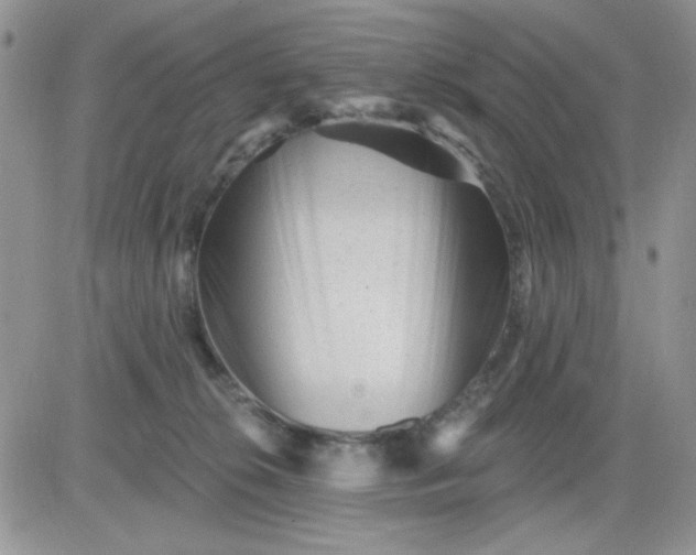 X0000081440276200701261855