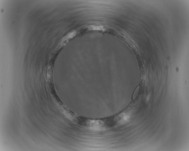 X0000081440277200701261855