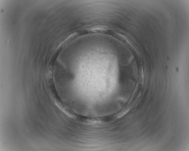 X0000081440284200701261855