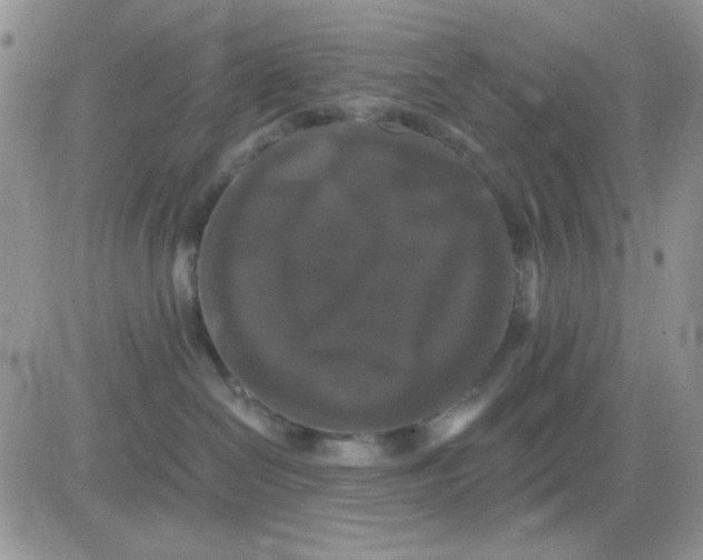 X0000081440286200701261855