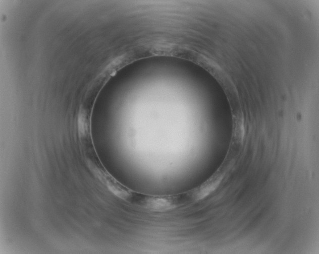 X0000081440287200701261855