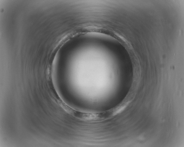 X0000081440288200701261855