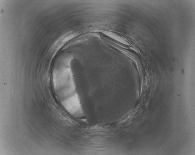 X0000081440290200701261854