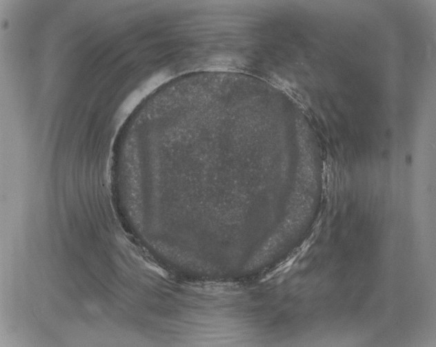 X0000081440292200701261854