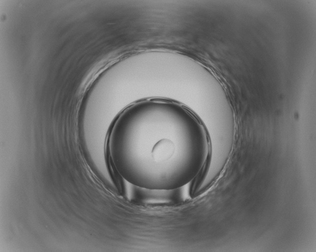 X0000081440293200701261854