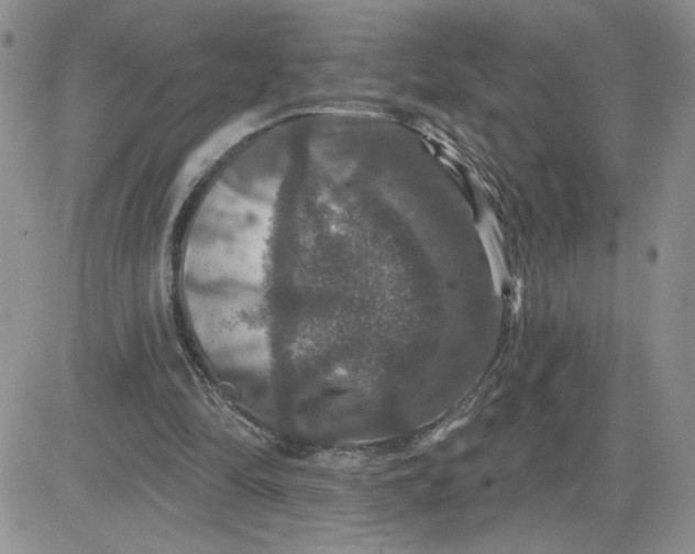 X0000081440294200701261854