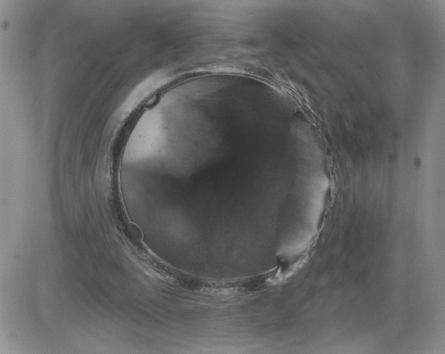 X0000081440295200701261854