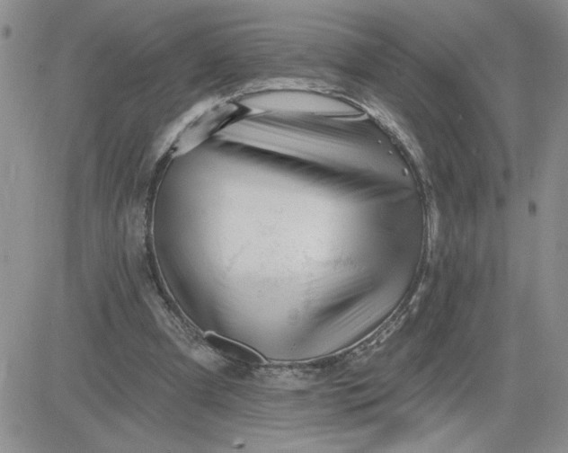 X0000081440297200701261854
