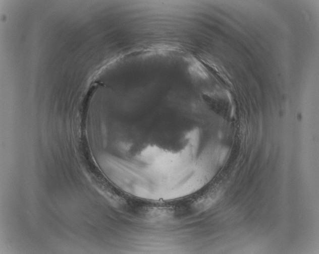 X0000081440303200701261854