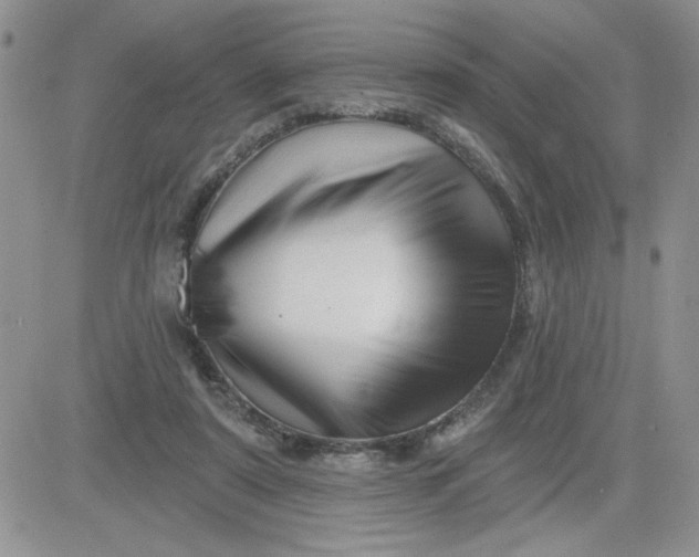 X0000081440307200701261854